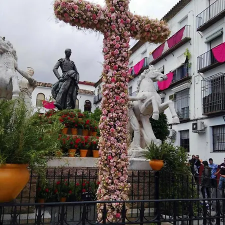 Virgen De Fatima Apartment *
